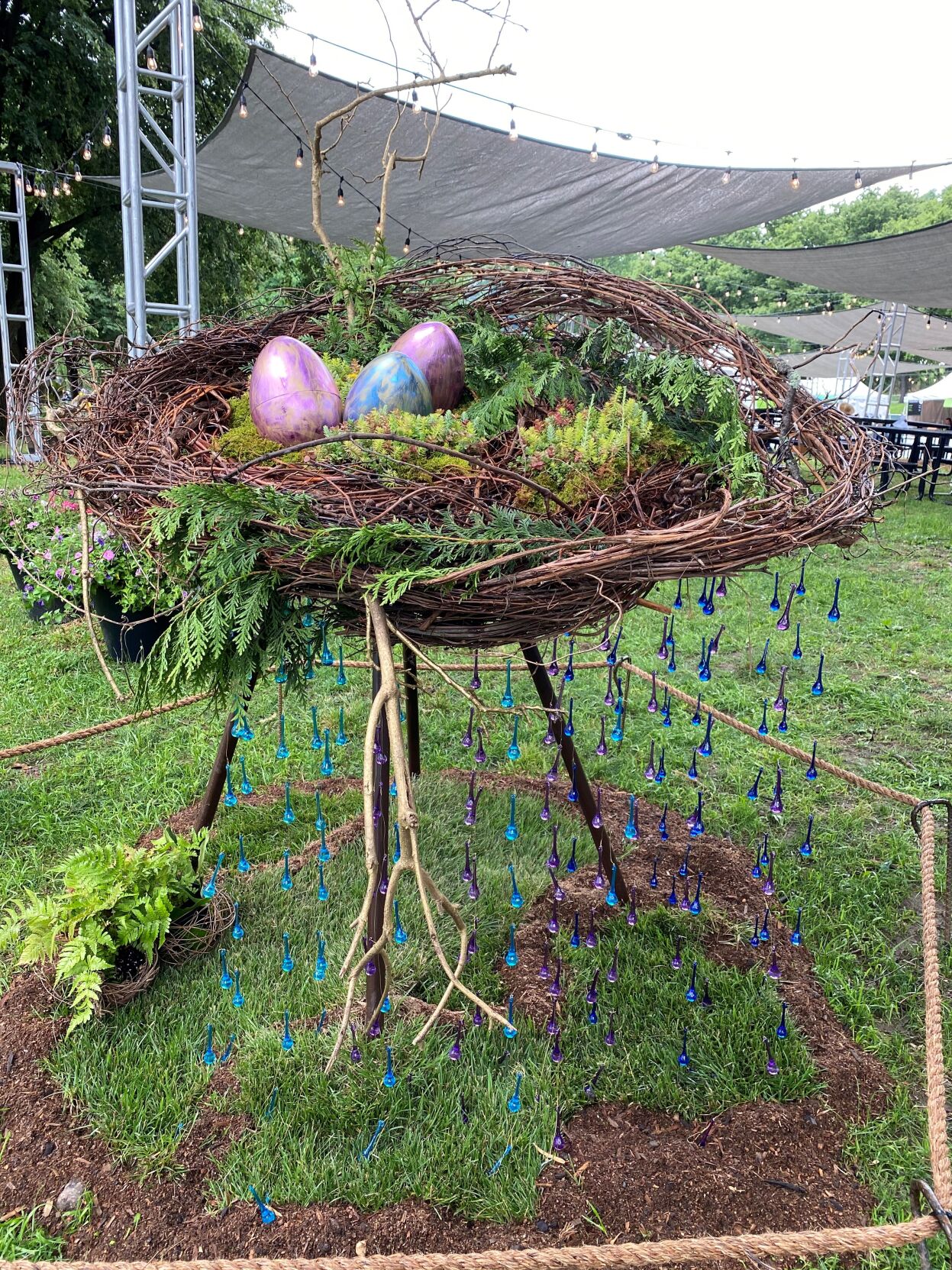 Enchanted forest thunderbird nest